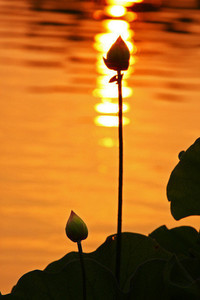 亚眠遭遇连败，保级形势告急