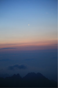 切尔西主场失利，图切尔柏连胜止步