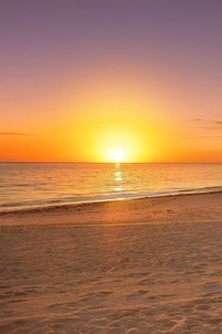 越南队勇夺冠军，取得胜利