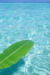 吉林男篮缺少内线支撑，战绩不温不火