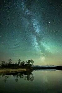 惊艳表现！陕西队后卫砍下场均+