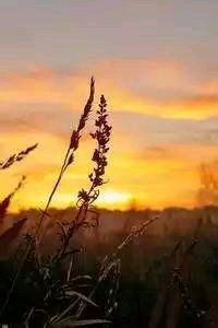 亚洲杯热身赛团队积极备战经验丰富对手强劲